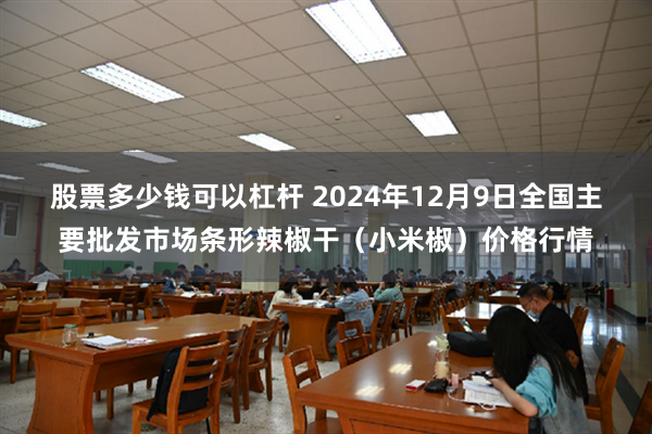 股票多少钱可以杠杆 2024年12月9日全国主要批发市场条形辣椒干(小米椒)价格行情