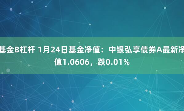 基金B杠杆 1月24日基金净值：中银弘享债券A最新净值1.0606，跌0.01%