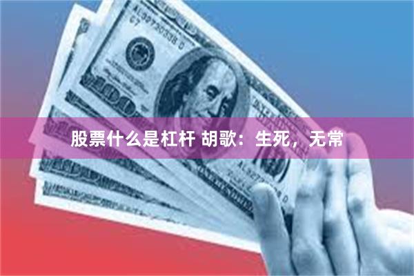 股票什么是杠杆 胡歌：生死，无常