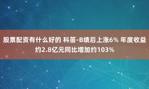 股票配资有什么好的 科笛-B绩后上涨6% 年度收益约2.8亿元同比增加约103%