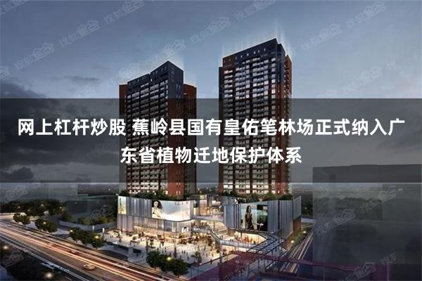网上杠杆炒股 蕉岭县国有皇佑笔林场正式纳入广东省植物迁地保护体系