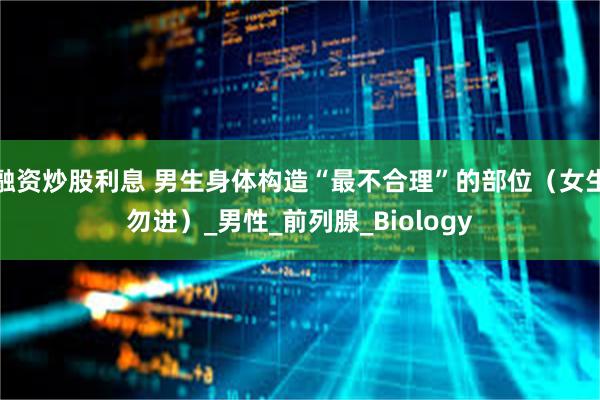 融资炒股利息 男生身体构造“最不合理”的部位（女生勿进）_男性_前列腺_Biology