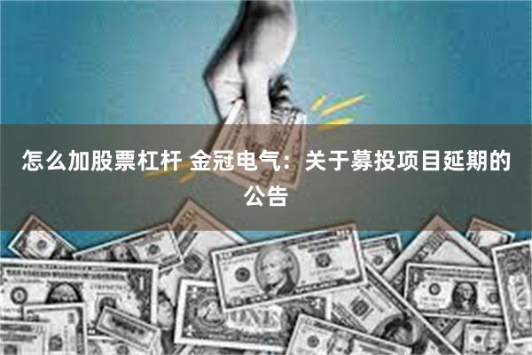 怎么加股票杠杆 金冠电气：关于募投项目延期的公告