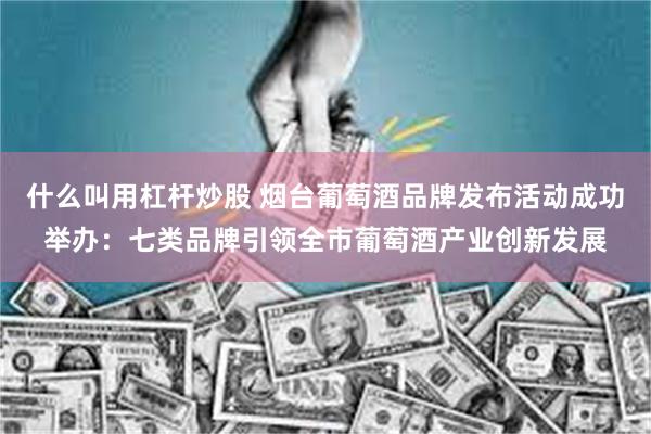 什么叫用杠杆炒股 烟台葡萄酒品牌发布活动成功举办：七类品牌引领全市葡萄酒产业创新发展