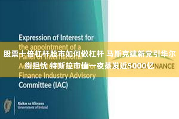 股票十倍杠杆股市如何做杠杆 马斯克建新党引华尔街担忧 特斯拉市值一夜蒸发近5000亿