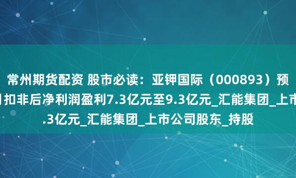 常州期货配资 股市必读：亚钾国际（000893）预计2025年1-6月扣非后净利润盈利7.3亿元至9.3亿元_汇能集团_上市公司股东_持股