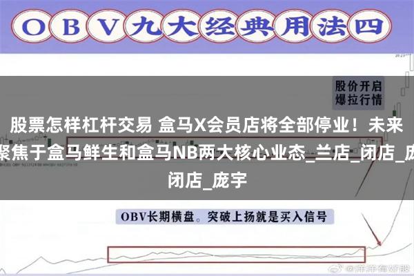 股票怎样杠杆交易 盒马X会员店将全部停业！未来会聚焦于盒马鲜生和盒马NB两大核心业态_兰店_闭店_庞宇