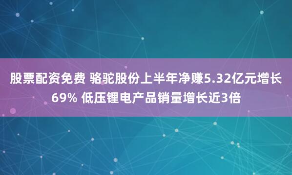 股票配资免费 骆驼股份上半年净赚5.32亿元增长69% 低压锂电产品销量增长近3倍